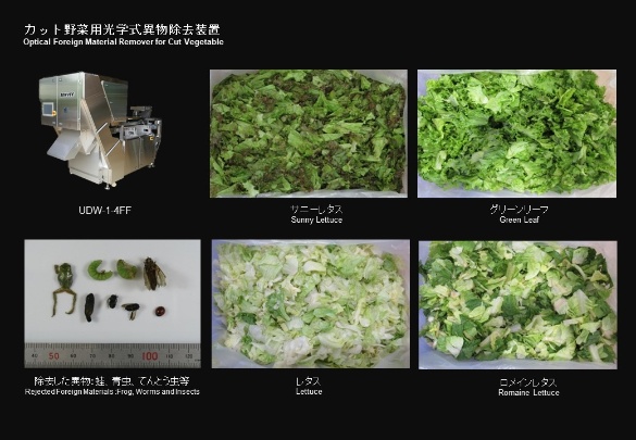 HATTORI SEISAKUSHO CO.,LTD. Photo 4