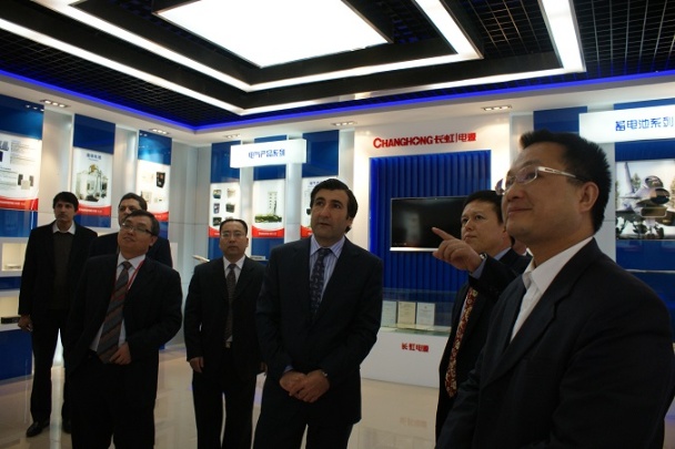 SICHUAN CHANGHONG BATTERY CO., LTD. Photo 5