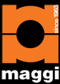Maggi Technology - logo