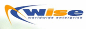 Wise - logo