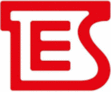 TES STM GROUP - logo