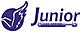 Junior Gas Spring