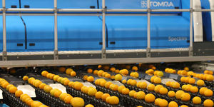 калибратор для фруктов и овощей