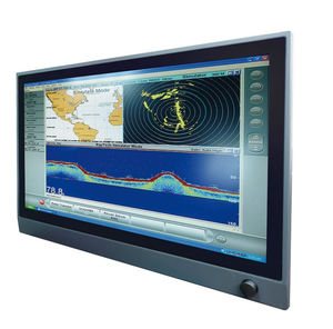 монитор LCD