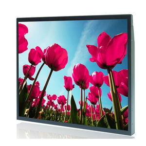 монитор LCD 1
