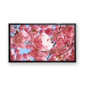 монитор LCD 1