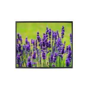 монитор TFT-LCD