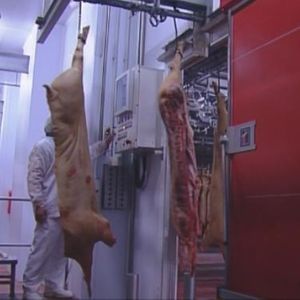 раздвижные ворота
