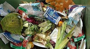 дробилка-измельчитель отходов для использования в промышленности