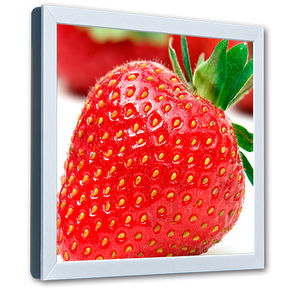 монитор LCD