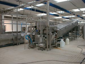 пеноотделитель молочной сыворотки