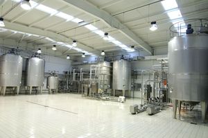 производственная линия для продуктов питания