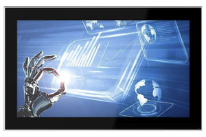 монитор LCD
