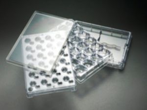 микропластина