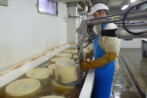 пневматический манипулятор
