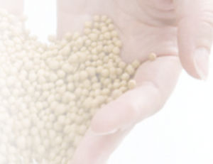 сито для продуктов питания
