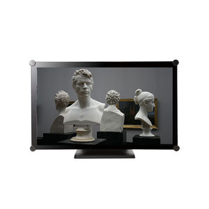 монитор LCD 1