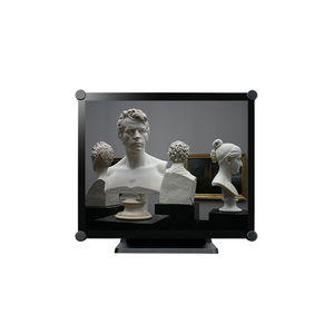 монитор LCD