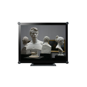 монитор LCD