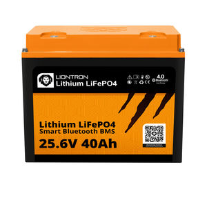 аккумулятор LiFePO4