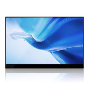 монитор LCD 1