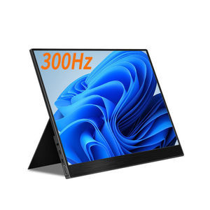 монитор LCD 1