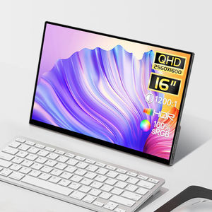 монитор LCD 1