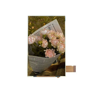 блок индикации TFT LCD