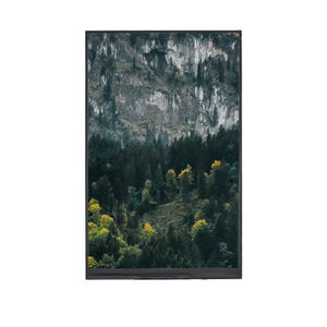 блок индикации TFT LCD