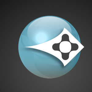 программное изделие разработки
