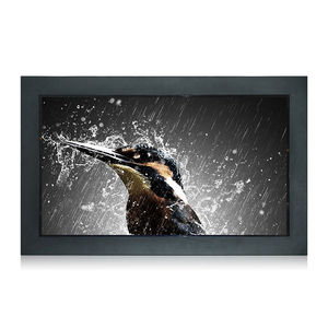 монитор LCD