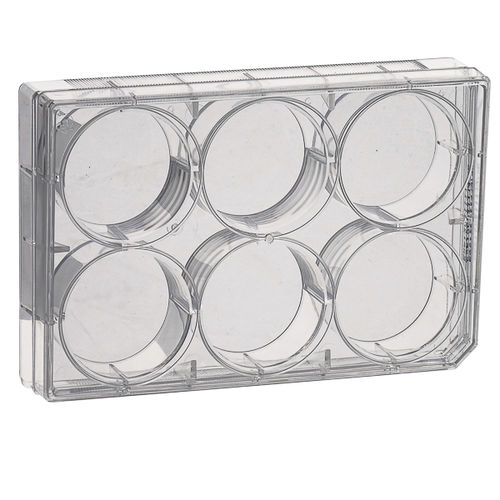Микропластина для культуры клеток - CCPP series - LABBOX LABWARE S.L. - 96-ячеечная / 24 ячейки / 12 ячеек