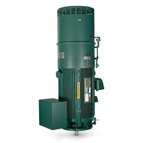 Вертикальный двигатель - G-Series - Baldor Electric Company - AC / индукционный / 460 В