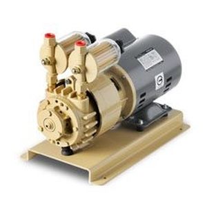 Лопастный вакуумный насос - RV series - Shanghai EVP Vacuum Technology Co., LTD - безмасляный / одноуровневый