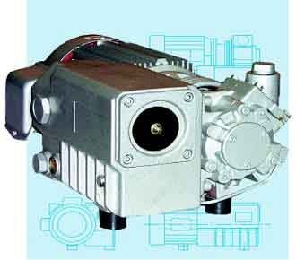 Лопастный вакуумный насос - AFM12/21 series - ANVER Vacuum System Specialists - с масляной смазкой / 230 Vca / 460 VAC