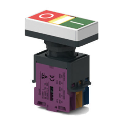 Клавишный переключатель - SD22 series - Wenzhou Jinhong Electrical Appliance - выбора / 2 полюса / IP65