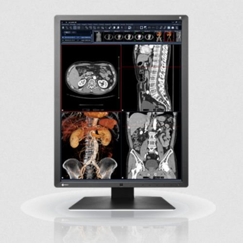 Монитор LCD - RX250 series - EIZO NANAO - со светодиодной подсветкой / 21,3" / 1600x1200