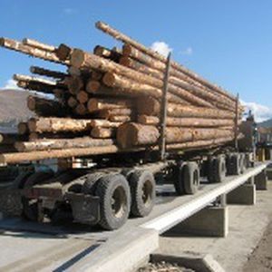 Мостовые весы для грузовика - 7563 - METTLER TOLEDO - для транспортных средств / из стали / прочное