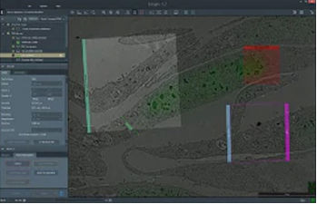 Программное обеспечение для автоматизации процесса - Maps 3  - THERMO FISHER SCIENTIFIC - MATERIALS SCIENCE - для сбора данных / сбора данных / для анализа