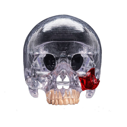 Смола для 3D-принтера из полимера - PLASTCure Clear 200 - Prodways Tech - промышленная / медицинская