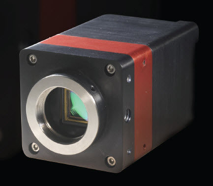 Камера для наблюдения - 320 x 256 pix | OWL 1.7-CL-320 - Raptor Photonics - для ночного видения / инфракрасная / высокая чувствительность