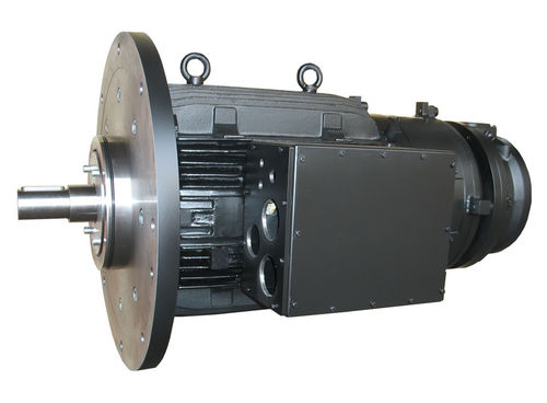 Синхронный двигатель - Winkelmann Elektromotoren GmbH & Co. KG - с постоянным током / низкого напряжения