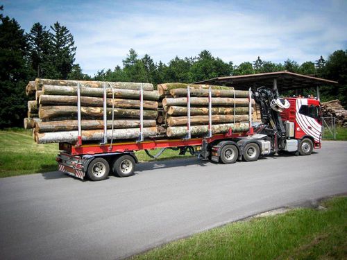 Полуприцеп платформа - TimberMAX - Faymonville Distribution S.A. - трехосный / двухосный / буксируемый