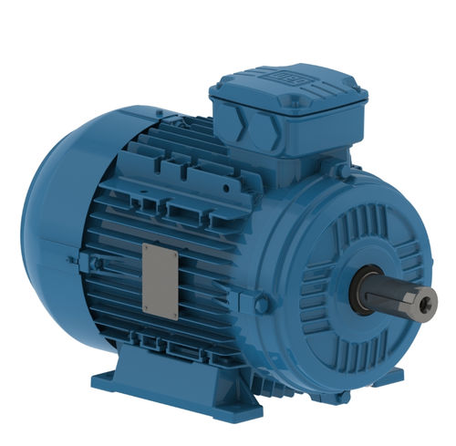 Двигатель AC - W21  - WEG Gear Systems GmbH - трехфазовый / 400 В / из чугуна