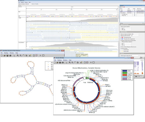 Программное обеспечение для визуализации - Bioinformatics Toolbox™ - The MathWorks - для анализа / для масс-спектрометрии