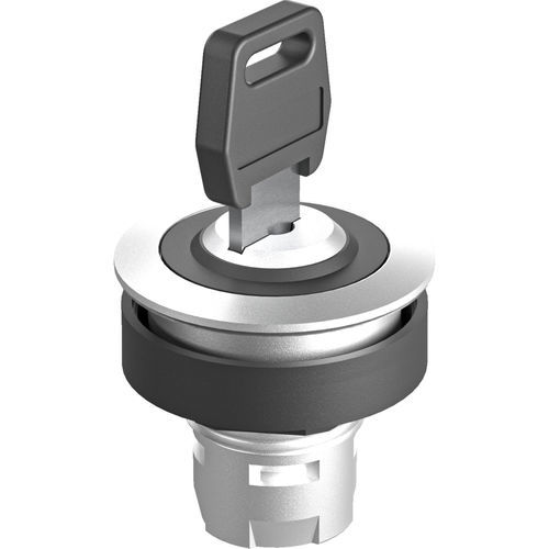 Переключатель с ключом - RONTRON-R-JUWEL RRJSSA12 - Georg Schlegel GmbH & Co. KG - IP65 / несветящийся / для управления