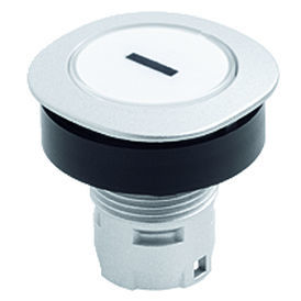 Пусковая кнопка IP65 - RONTRON-Q-JUWEL RQJT - Georg Schlegel GmbH & Co. KG - с подсветкой