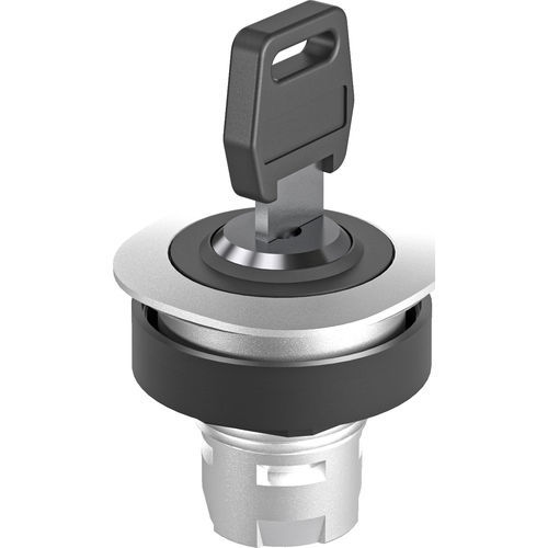 Переключатель с ключом - RONTRON-Q-JUWEL RQJSSA12 - Georg Schlegel GmbH & Co. KG - IP65 / установленный на панелях / с подсветкой