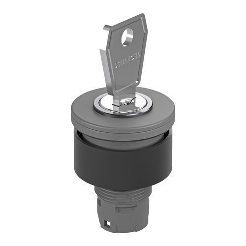 Переключатель с ключом - RX-JUWEL RXJSSA12E - Georg Schlegel GmbH & Co. KG - IP65 / установленный на панелях / несветящийся