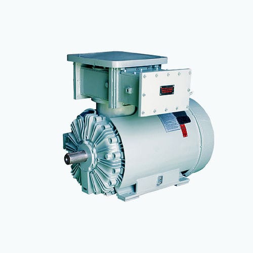 Асинхронный двигатель - CG Power Systems - AC / двухфазный / 6000 В